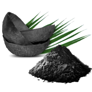 Palm Shells